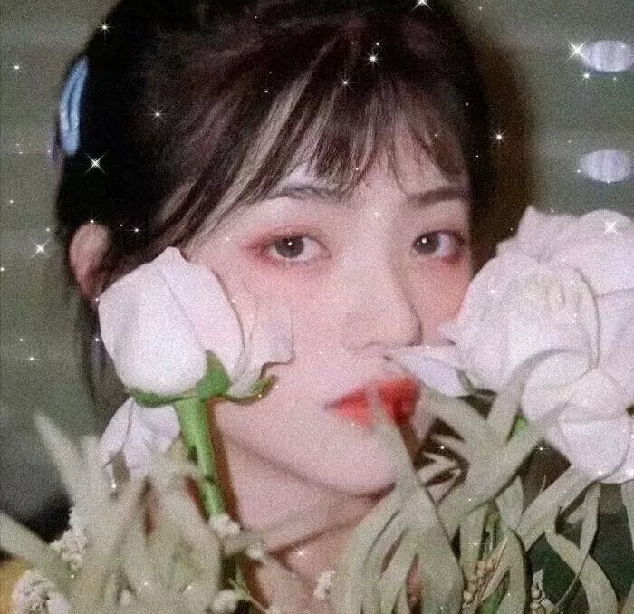 拜物有理