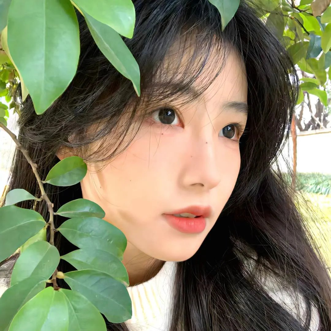 诱捕正义